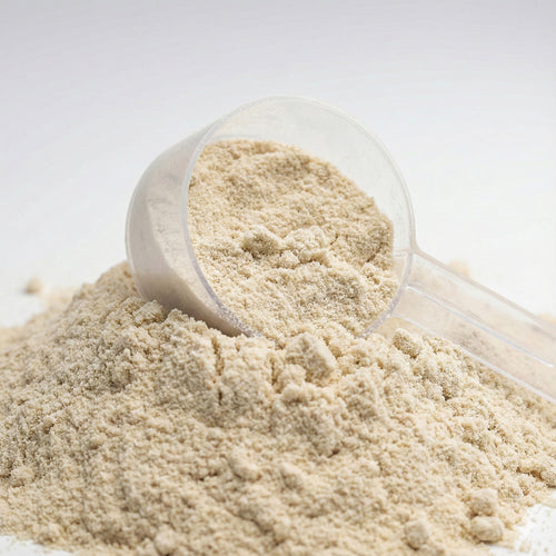 Plant Protein (Vanilla)