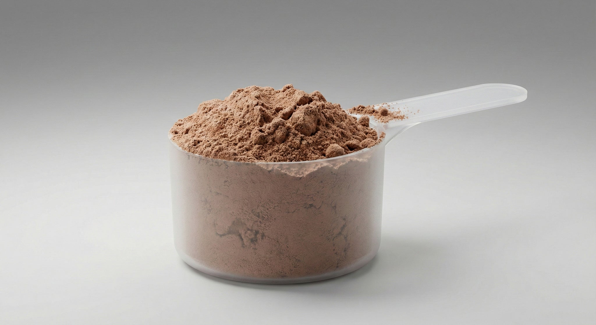 Plant Protein (Chocolate)